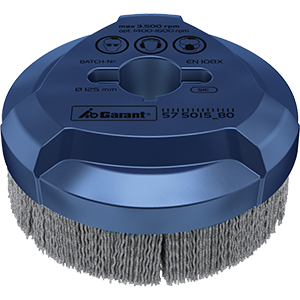 Disc brushes